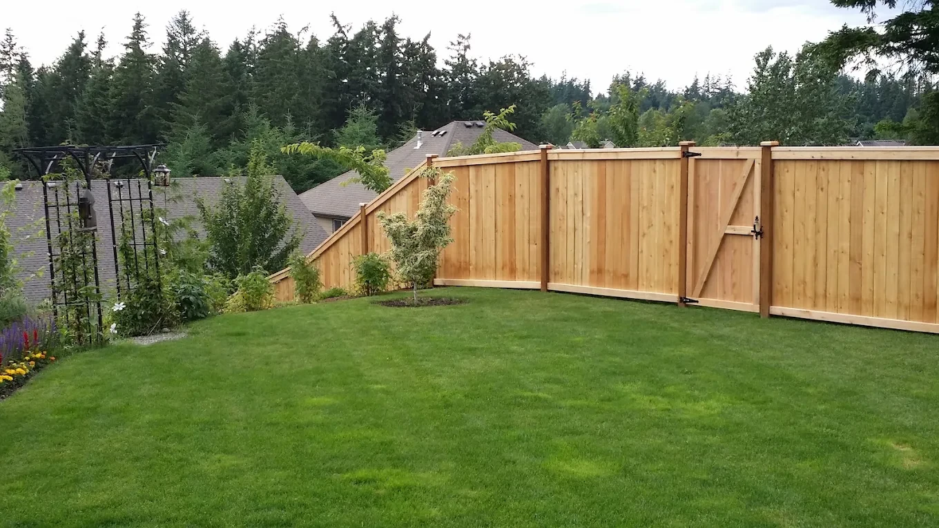Backyard wooden fence green lawn forest