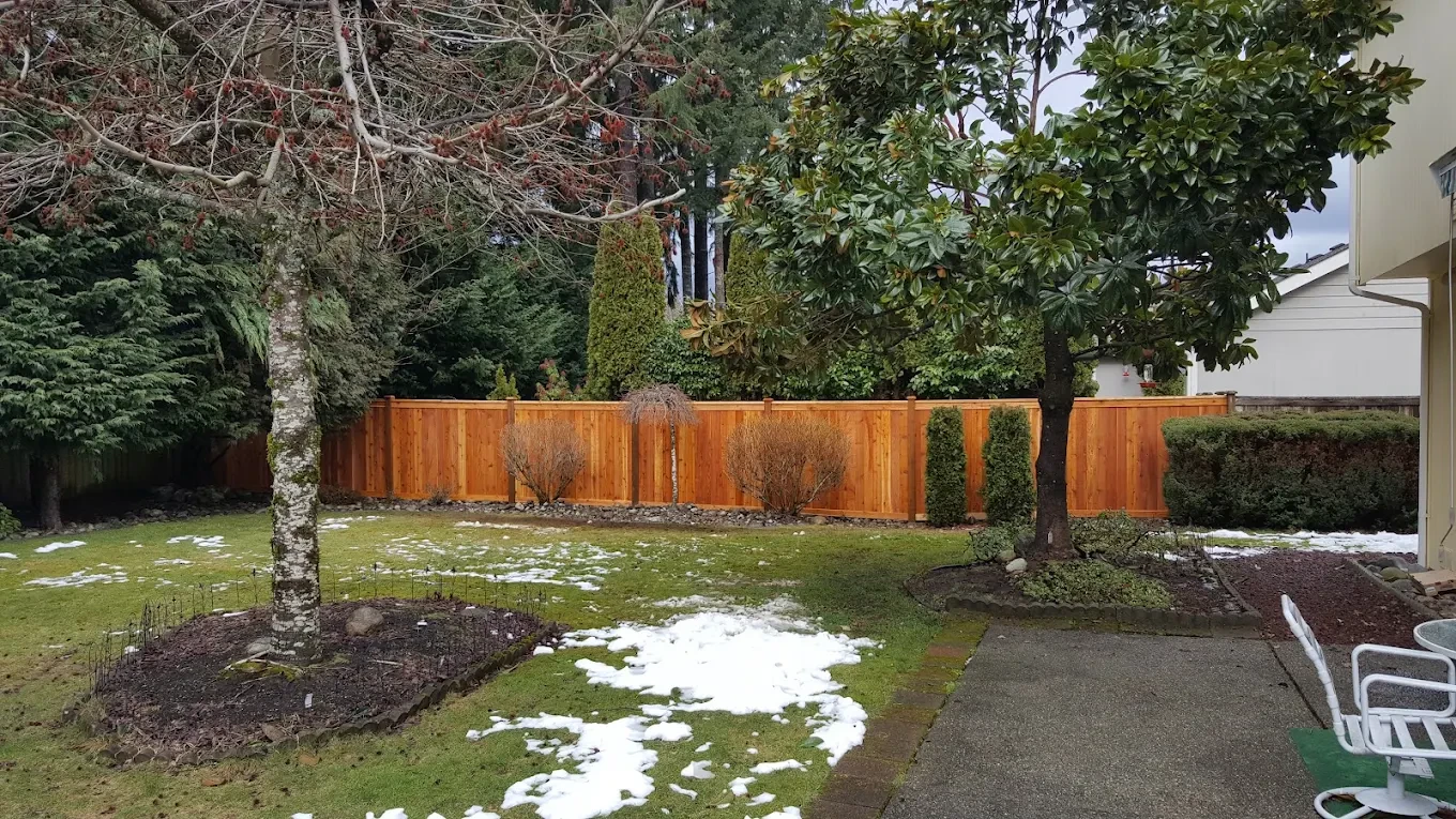 Backyard with wooden fence and melting snow