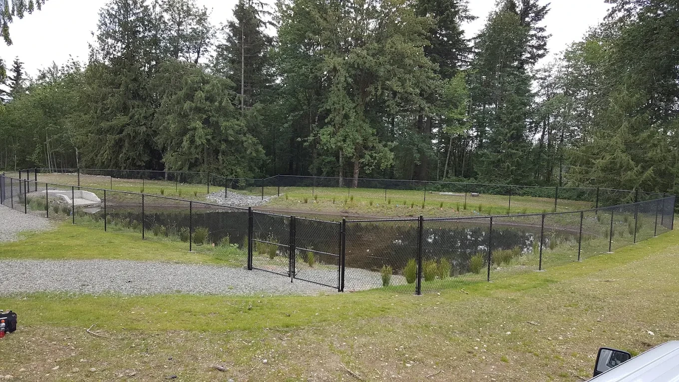Fenced pond surrounded by forest trees